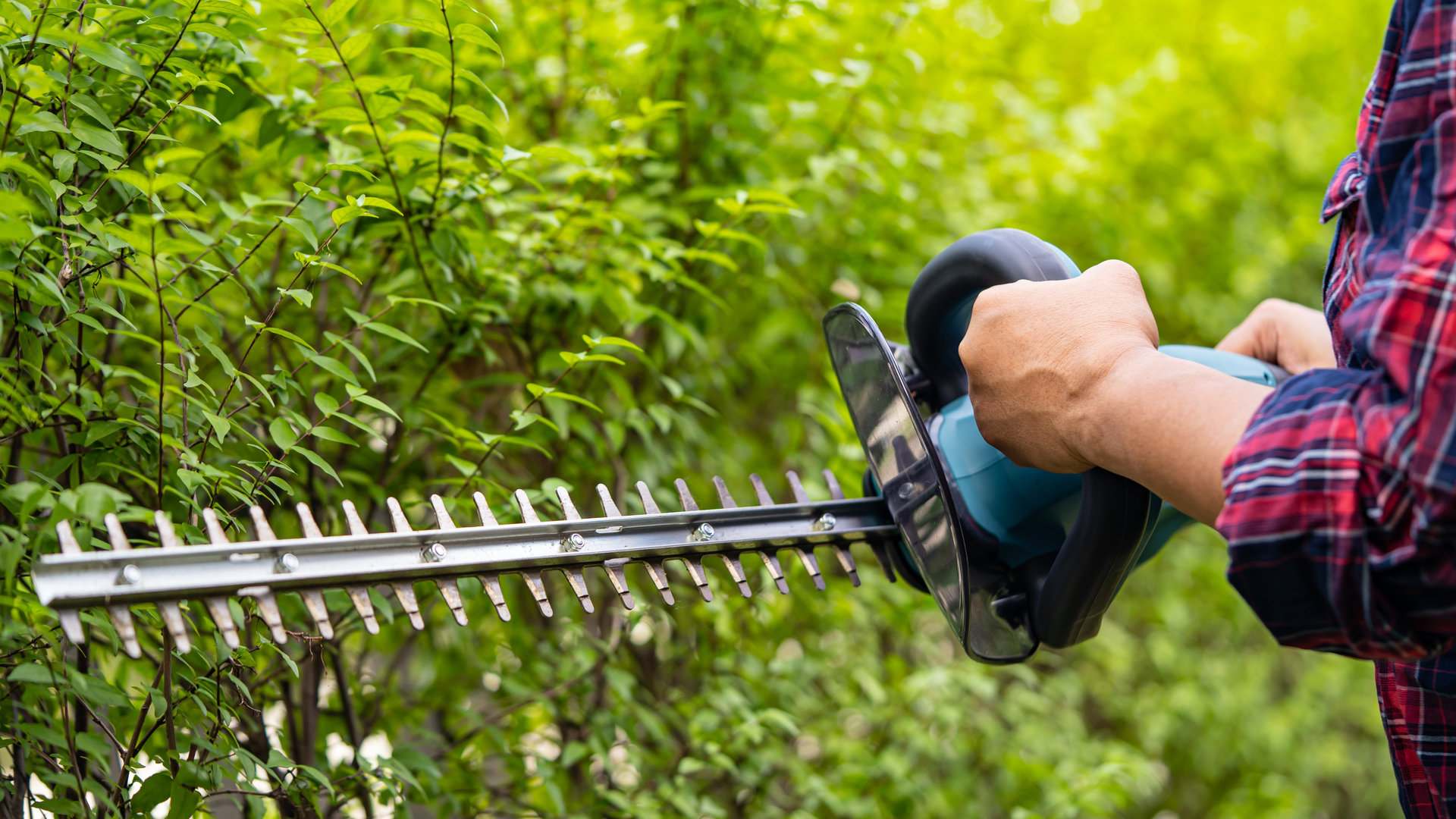 Grünschnitt-Arbeiten